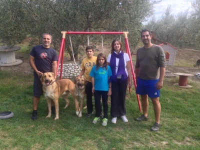 Με την οικογένεια Χατζηλοίζου και τους 13 μηνών Κουστό και Κάστρο, Ελληνικά Ποιμενικά, στο Πρόγραμμα Βασικής Υπακοής.