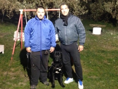 Με τον Μιχάλη και τον 1 έτους Δία, Cane Corso , στο Πρόγραμμα Βασικής Υπακοής